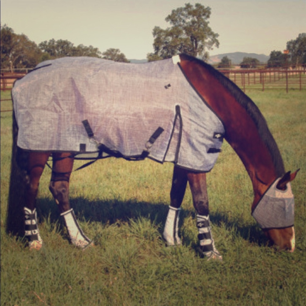 Professionals choice flysheet and mask